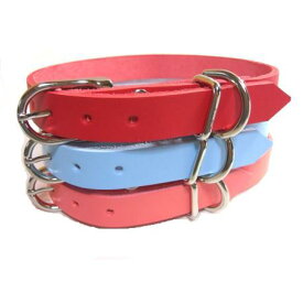 犬の首輪　カラーレザー 2cm幅　おしゃれ かわいい ブランド 名入れ 迷子札 レッド ブルー ピンク