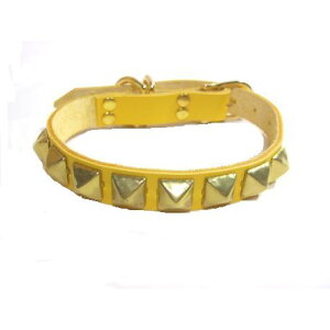 ̎ց@^ ^ J[U[2cm s~bhX^bYt@{v@