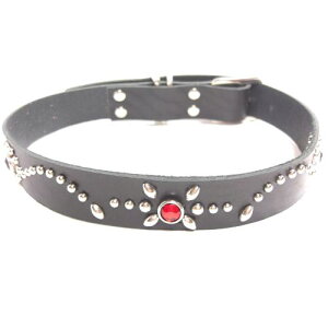 ^ ^p U[3cm X^bY[N v  uhbO go[ VFp[h