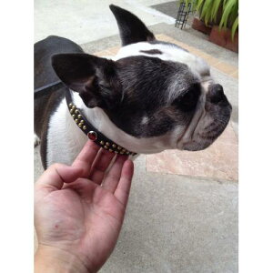 ^p ^p̎ց@U[1,5cm@bhX|bc {v@CX^f@