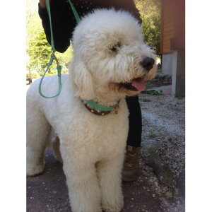 {v J[k [h n[t`[NփZbg ^ ^  킢  uh  qD J[k 2cm@^[RCY