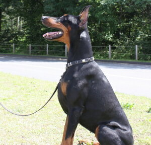 n[t`[N ThU[2cm ^ ^p s~bhubNX^bY v Y