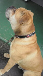 ?^?? ^̎ U[3cm pC\U[ bhX^bYt  Y v {v