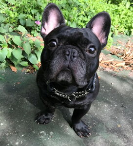 n[t`[N ^  ^ 2cm {v Y  󖳗 U т `[J[ 