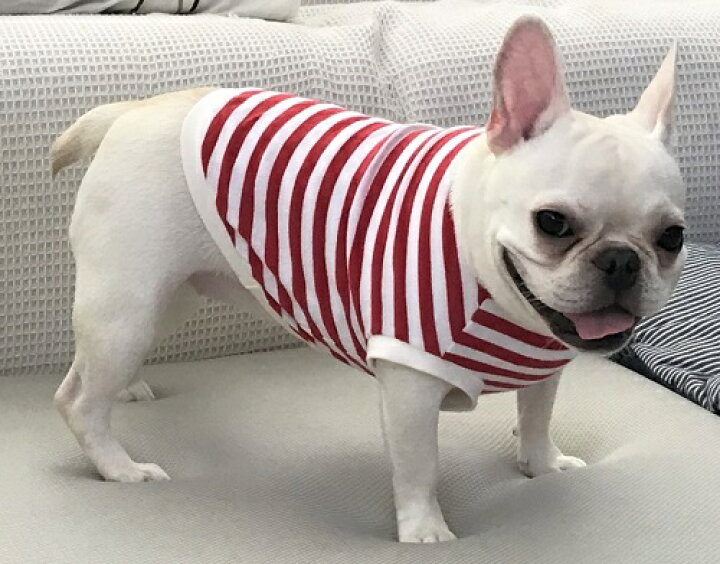 楽天市場 犬 小型犬 犬用 Tシャツ ドッグウエア 犬の服 犬服 犬 洋服 フレンチブルドッグ 服 パグ 服 赤マリンボーダー 犬の服 首輪 犬 のリードの通販hibi