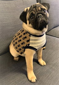 フレンチブルドッグ 服　おしゃれ　フレブル服 秋冬 春夏　かわいい　フレブル　専門店　パグ 服　ラ・ラ・ラッコ 縦横無尽daカットソー