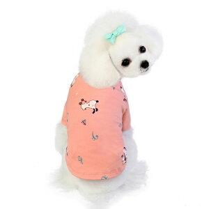 炩fރOTVc ps[ ? m _bNXgCv[h  `  _bNX hbOEFA ̕ m