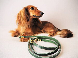 n[t`[N  ^p [hZbg1cm ThU[ 킢 uh  qD