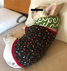 ԕӂJbg\[@t`uhbO@ pO 