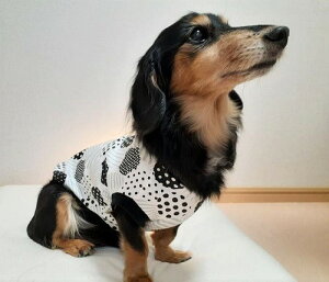 犬用ペット服 ブラックの人気商品 通販 価格比較 価格 Com