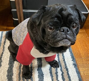 t`uhbO  􉽊wWK[h ObhiCgO J[ubNV[Y t ~ pO  킢 