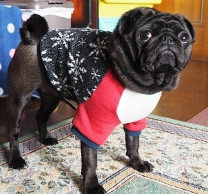 t`uhbO  TCgiCg ̌ OJbg\[ J[ubNV[Y @X 킢 pO  H~