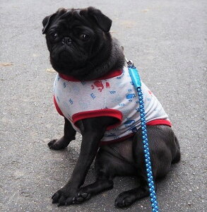 t`uhbO  CɕԃNW IXKWK[hJbg\[ TVc tĕ tu@@X@pO@