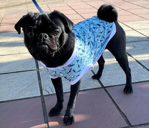 t`uhbO @tu pO@@N[ŃX^CbV yM xAVTVc @CX^f