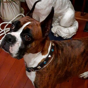 n[t`[N@U[2cm@^ ^p@u[O[s~bhX^bYt@Y@v@