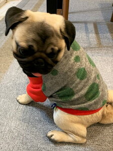 t`uhbO  ^ ^  WR̒ _hbgOJbg\[