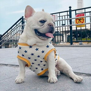 _炩X[Xjbg t`uhbO  ssX^[ Jbg\[ TVc tu@@ tā@킢@tu@X