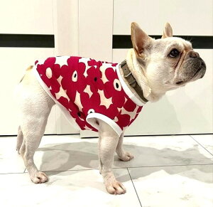 t`uhbO  IfBJX NbJ kt[ Jbg\[Ȃ  tu t 킢 tu X hbOEGA ̕   H~