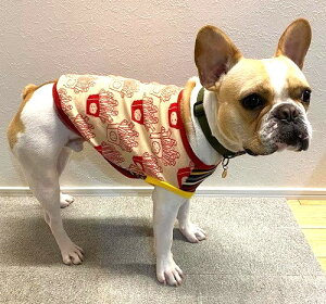 t`uhbO  |eg͂ł wV[ICo[W Jbg\[ TVc tu  @t  CX^f 킢 tu X  aC VjA 