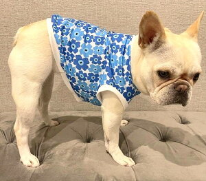 t`uhbO  ^ Ђ`ڐG⊴ z kt[XJCu[ N[NX TVc  tu t 킢 tu X hbOEGA ̕ 