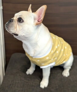 t`uhbO  gRgR TVc 炵F  tu t 킢 tu X hbOEGA ̕   H~