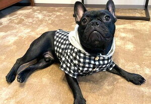 t`uhbO @{^OJ t[fB[Vc tu  @Y X t  ^ p Vc hbOEGA   m