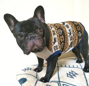 t`uhbO  炩t[X giJC̑ ӂJbg\[ uEY  tu t 킢 tu X hbOEGA ̕   H~