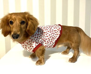 ダックス 服 ミニチュアダックスフンド 服 夏の思い出はスイカから始まる クールクロス 接触冷感 吸水速乾 Tシャツ 春夏服 袖なし おしゃれ 専門店 dm 犬用 ドッグウエア 犬の服 犬服 犬 洋服