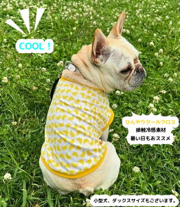 t`uhbO  Ђ`ڐG⊴ z N[NX tbVoii ėp⊴ TVc  tu t ybg 킢 tu X hbOEGA 