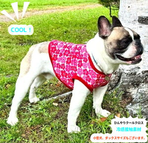 t`uhbO@@ڐG⊴ z kt[bh N[NX TVc  ybg@tu t 킢 tu X hbOEGA ̕  