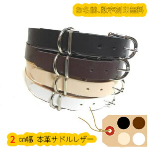 {v ̎ 2cm ꍏ󖳗 ^ ^ U[ qD