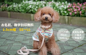  [hZbg ThU[ O ^ ^p k 1.5cm O 󖳗 {v  킢 uh  qD O