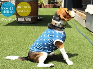 ^ Č  r[O  Ђ`ڐG⊴ z bL[X^[ N[NX TVc Ȃ  t 킢 X hbOEGA ̕   H~