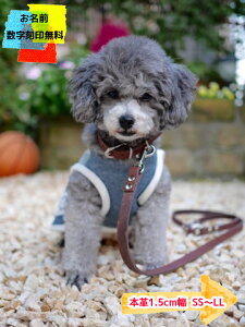 O 󖳗 {v   [hZbg { 1.5cm  ɂ 킢 uh  qD O ^ ^p@`R