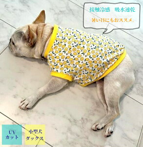 ^ t`uhbO  ₩ă Nn ڐG⊴ z N[NX TVc  tu t 킢 tu X hbOEGA ̕ 