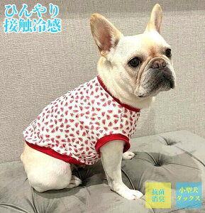 ^ t`uhbO  ڐG⊴ z ėp⊴ Ă̎vo̓XCJn܂ N[NX TVc  tu t 킢 tu X hbOEGA 