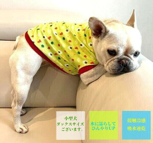 t`uhbO  ٓZbg ^REBi[ɃGrtC O[Ver. ڐG⊴ z N[NX ėp⊴ TVc  tu 킢 tu X 