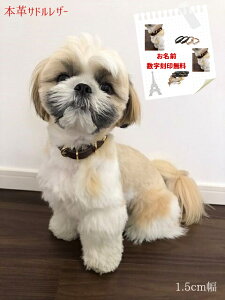 ꖳ {v ^p qD ThU[ 1.5cm  킢 uh