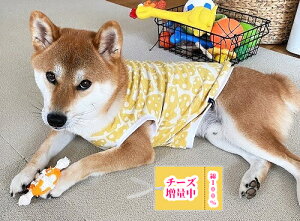 柴犬 服 ビーグル 服 柔らか肌触り綿100% 映えチーズ盛り盛りTシャツ 中型犬 サイズ 着せやすい かわいい おしゃれ 秋冬
