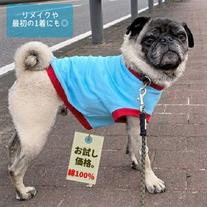 yVvTVc n Cgu[ t`uhbO  pO  ybg   aC VjA ₷ ё΍ \h OK