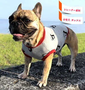 bL[Zu 777g[i[f Jbg\[ t`uhbO ybg  tu  H~ hbOEFA 킢 tu X pO  CX^f