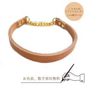 n[t`[N ^ 1.5cm UKuChU[@{v@Y@v@