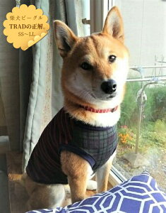 I[gbhJbg\[TVc Č  r[O  CX^f@킢 @ ^ p hbOEGA ̕ H~ ^  aC VjA ₷ ё