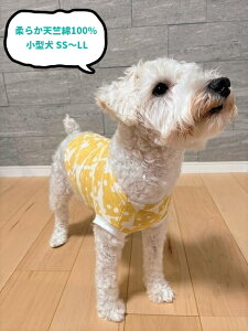 _炩G100 f`[Y萷TVc `  gCv[h@ H~ ĕ ₷ CX^f  킢 _bNX }`[Y Č _bNX ĕ  aC V