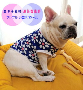 NAXZ[1500~ K t`uhbO  ̐É`}[KbgJbg\[ Ȃ  tu 킢 tu X hbOEGA ̕   H~