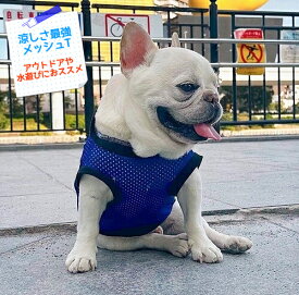 吸汗加工 涼感 べたつきノーノーメッシュタンクトップ ブルーズ　インスタ映え フレンチブルドッグ　服 　おしゃれ　フレブル服　ひんやり　春夏　かわいい　パグ 服 　フレブル