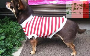 �_�炩���G�� ��100�� ���^�� �� ���� ��Ԑԃ{�[�_�[ �p�s�[ �`���� �� �����₷�� �g�C�v�[�h�� �� �������@�ɏ� �_�b�N�X �h�b�O�E�F�A ���̕� �m�� ������� ���킢�� �C���X�^�f��