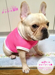  zH ׂm[m[bV ^Ngbv sL[Y ĕt`uhbO tĕ  X Ђ tu pO 