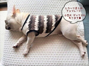 `R[gACXN[ _炩f t`uhbO  X[XJbg\[ TVc @tu@tā@킢@tu@X@CX^f@pO