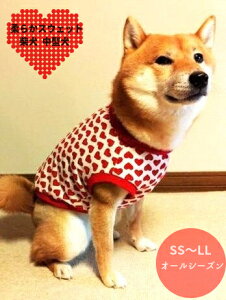 ^ TCY Č  n[gton[g Nɓ͂g[i[f ybg H~ 100 r[O  Č   ₷ CX^f  킢   aC VjA 